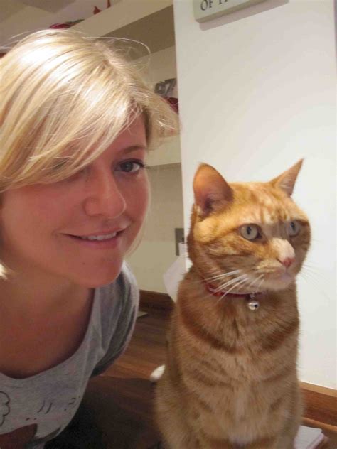 cat in a flat london|local cat sitters near me.